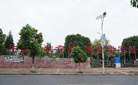 當(dāng)定制葛粉時，我們真正在選擇什么？