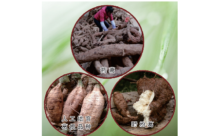 買葛粉是買野生的好？還是野生有機(jī)的好？